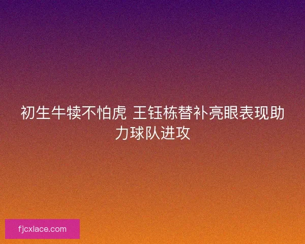 初生牛犊不怕虎 王钰栋替补亮眼表现助力球队进攻