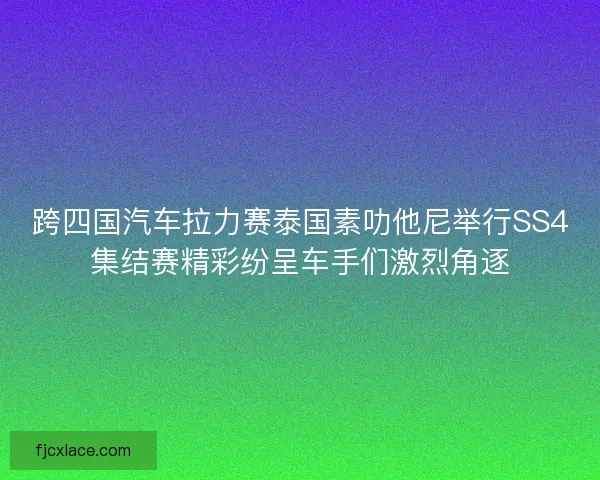 跨四国汽车拉力赛泰国素叻他尼举行SS4集结赛精彩纷呈车手们激烈角逐